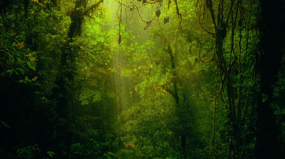 07_W7_A_Dolby Atmost(sub1)